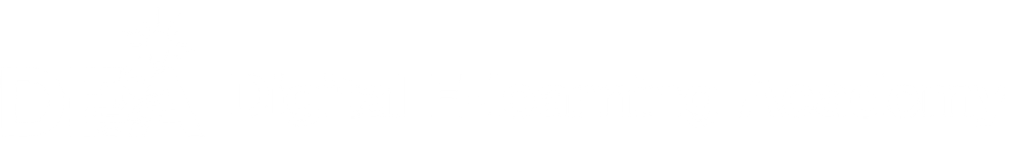 Digital E-learning Academy